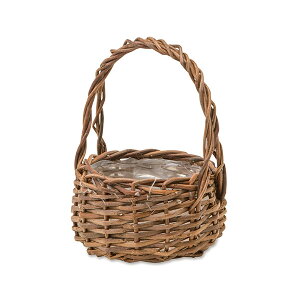 K[foXPbg EhS @po-11655