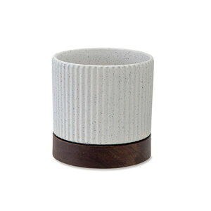 Aؔ Z~bN×AJVA ؐ󂯎Mt k ȓ|bg ꌊ 4.5TCY ϗtAEAɍœK ^CfB|bg