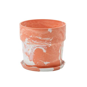 v^[ Aؔ GRf v^[ 6 6 y  CeA Aؔ  Jo[󂯎Mt ꌊ A A[ovc|bg 6