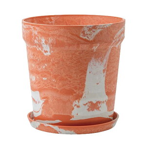 �v�����^�[ �A�ؔ� �G�R�f�� �v�����^�[ 12�� 12���� �y�� �������� �C���e���A �A�ؔ� �� ���J�o�[�󂯎M�t�� �ꌊ���� ���A�� �A�[�o���v�����c�|�b�g 12����