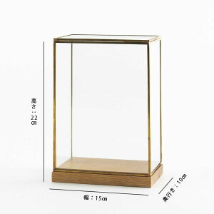 BRASS t[ fBXvCBOX Ch Iׂ2size Horn Please u̔