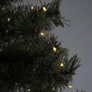 Cg ʂ }LEDfR[VCg c[(S) Horn Please u̔