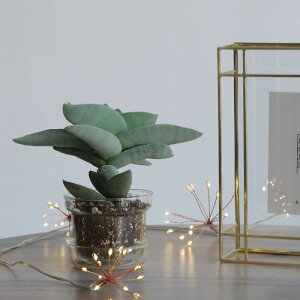 Cg ʂ LEDfR[VCg K[h u[~O Horn Please u̔