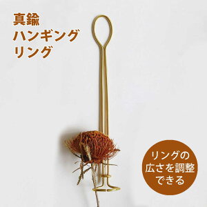 BRASS nMO O Horn Please u̔