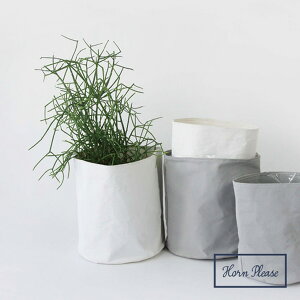 ChA z_[ yCg O S Iׂ2color Horn Please u̔