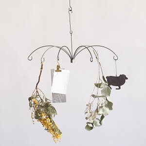 tbN I[igƃr[ƂĂg T[NtbN Horn Please u̔