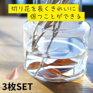 ؂Ԃ𒷂ꂢɕۂƂł ̃t[Ct [t 3