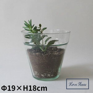 [XKX vg|bg  L U19×H18cm