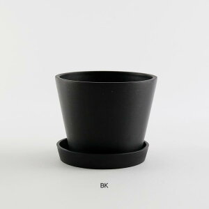 GRfނłłt[|bg L Horn Please u̔