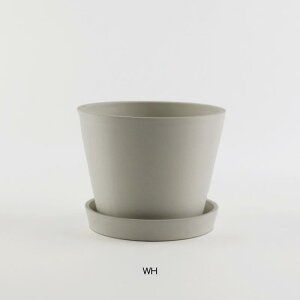 GRfނłłt[|bg M Horn Please u̔