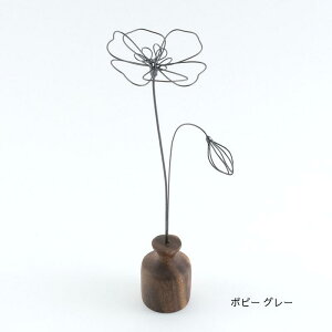 C[A[g 3 Horn Please u̔