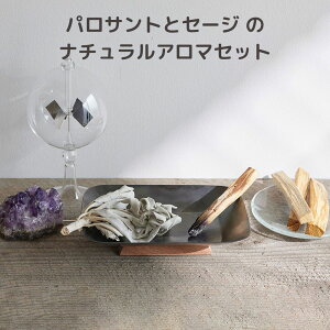 pTgƃZ[W ̃i`A}Zbg shesay u̔ gpȂ R̍ y[ỸpTg͏nUN̂悤ȖFȍ  rO Q gC Mtg v