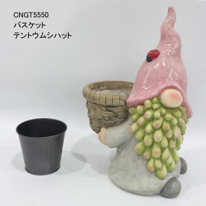 SPICE OF LIFE K[fm[ \[[CgȂ oXPbgƃm[ egEVnbg