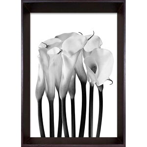 AeB[N|X^[ Re|[A[g PHOTOGRAPHY Calla