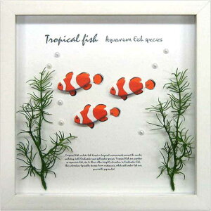 ZAKKA-ART(ANA) G݃A[g Aqua Frame Crown Fish