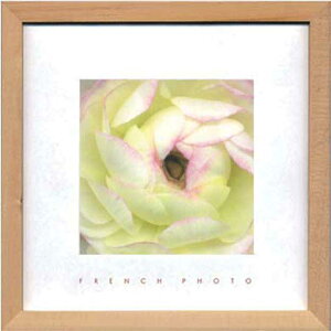 ZAKKA-ART(FRENCH@PHOTO) G݃A[g FRENCH PHOTOGRAPHY Ranunculus