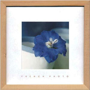 ZAKKA-ART(FRENCH@PHOTO) G݃A[g FRENCH PHOTOGRAPHY Delphinium elatum