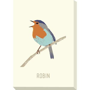 �A�[�g�p�l��(�o�[�h) �~�j �p�l�� Robin