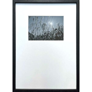 A[g|X^[(tHgOtB[) Re|[A[g PHOTOGRAPHY Susuki