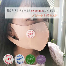 【メール便送料無料】 抗菌 穴の開かないマスクチャーム 「WAKUPITA」（わくぴた） 3カラーセット　（ アソート）