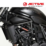 楽天ランキング第1位 ACTIVE(アクティブ) ELIMINATOR(ABS) エリミネーター パフォーマンスダンパー(R) 13…