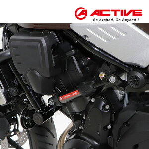 �y�V�����L���O��1�� �������� ACTIVE(�A�N�e�B�u) Z650RS 2022�`25 �p�t�H�[�}���X�_���p�[(R) 13691705 �J���T�L �ԑ̐��U�_���p�[ �o�C�N �c�[�����O �����y�Ή�