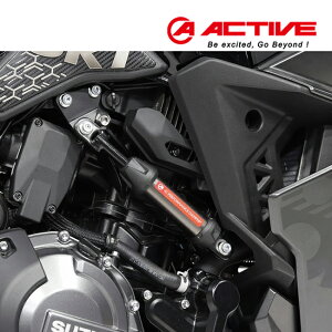 �\��i �y�V�����L���O��1�� �������� ACTIVE(�A�N�e�B�u) V-STROM250 SX 2023�`25 �p�t�H�[�}���X�_���p�[(R) 13691505 �X�Y�L �ԑ̐��U�_���p�[ �R���v���[�g�p�b�P�[�W ��薡�`���[�j���O �o�C�N �c