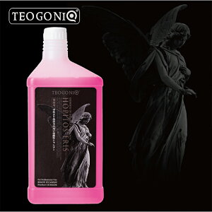 I[^Z[ Ɩp  TEOGONIA/eISjA HOPITOS-ERIS zsgX-GX 83234 _N[i[Vv| vdl 1,000ml ԃCIf|Wbg J C  J[Vv[ 