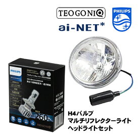 送料無料 フィリップス×テオゴニア H4 LEDヘッドライトバルブ セット ルキフェル Lucifer 5800K 12V専用 H4バルブ ヘッドライトセット マルチリフレクターライト カワサキ ゼファー400 ZRXII バリオス あす楽対応 お買い物マラソン 開催