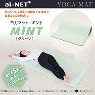 送料無料 ヨガマット 8mm 厚手 高品質TPE ミント 183cm×80cm ainet/アイネット 5色 滑り止め 軽量 収納…