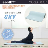 楽天ランキング第1位 送料無料 ヨガマット 8mm 厚手 TPE スカイ 183cm×80cm ainet/アイネット 5色 滑り…