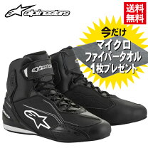 楽天市場】アルパインスター シューズ 25cmの通販