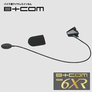  TCnEX r[R B+COM SB6XRp C[}CN i XyA 82399 ANZT[ IvV Cp[c SYGNHOUSE C^[R oCND Mtg yΉ