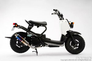 }t[  BEAMS[r[X]}t[ Y[}[Fi/ZOOMER Fi SS300`^ B128-09-000 oCND Mtg