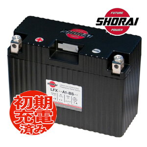 SHORAI/V[C LFX14A1-BS12 AT݊ GT9B-4 YT12B-BS GT12B-4 YB12B-B2 _ y ϋv o oCNp [J[ۏ3Nt eiXt[ `Eobe[ GSX250 J^i X|[c