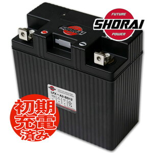  SHORAI/V[C 4897034420340 LFX24A3-BS12 AT݊ YB16-B _ ^ y ϋv o oCNp [J[ۏ3Nt eiXt[ `Eobe[ n[[_r