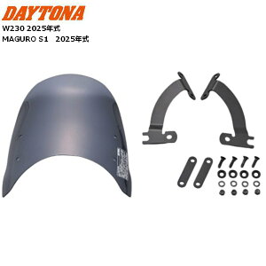  DAYTONA/fCgi AerovisoriGAoCU[jԎʃLbg W230AMEGURO S1 X[N 62239 moto oCNp c[O JX^ OS1 XN[ h