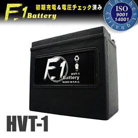 【セール特価】F1 バッテリー HVT-1 GSユアサ YTX20L-BS GYZ20L 65989-90B 65989-97A 65989-97B 65989-97C 互換 安心の1年保証付き 完全充電済み F1 バイク用 ハーレー用 ハイパワーバッテリー 高性能バッテリー充電器使用 バイク好き ギフト