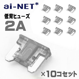 メール便可 低背ヒューズ 2A グレー 10個セット 小型 低背型 2アンペア 車 バイク 補修パーツ 電装品 保護 交換 メンテナンス 汎用 予備 あす楽対応 バイク好き ギフト