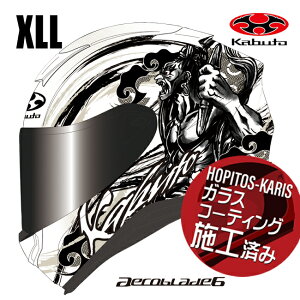 �č������\�� OGK KABUTO �I�[�W�[�P�[�J�u�g AEROBLADE6 RIKZAR �G�A���u���[�h6 ���N�U�[ �p�[���z���C�g�S�[���h XXL�T�C�Y �I�[�g�o�C�p �t���t�F�C�X�w�����b�g
