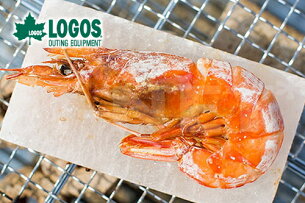 LOGOS/ロゴス岩塩プレート81065990焼肉バーベキューグリル【ヒマラヤ岩塩料理塩調理】【アウトドアバーベキューBBQキャンプコンロ】