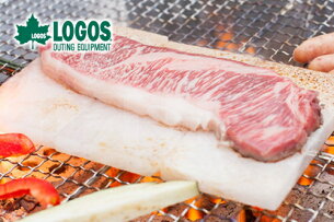 LOGOS/ロゴス岩塩プレート81065990焼肉バーベキューグリル【ヒマラヤ岩塩料理塩調理】【アウトドアバーベキューBBQキャンプコンロ】
