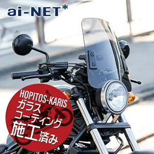 �K���X�R�[�e�B���O�T�[�r�X�{�H�� �y6�����ۏؕt�z�yXT250�z �X�N���[���o�C�U�[ ���[�^�[�o�C�U�[ ���^�^�C�v �X���[�N�X�N���[�� ���h �ėp aiNET�� �t���t �o�C�N�D�� �M�t�g ���������}