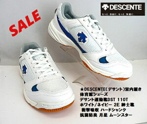 DESCENTEifTgj̈كV[Y fTg^CDST110T zCg/NAV 2E amC Ռz n[hVN RۖhL  [X^[