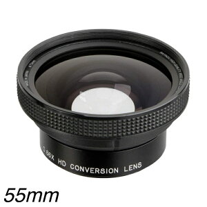 Raynox ���C�m�b�N�X HD-6600PRO-55 ���C�h�R���o�[�V���������Y 55mm�a�p �L�p ���C�R��