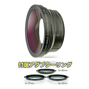 Raynox ���C�m�b�N�X DCR-732 ���C�h�R���o�[�W���������Y 0.7�{