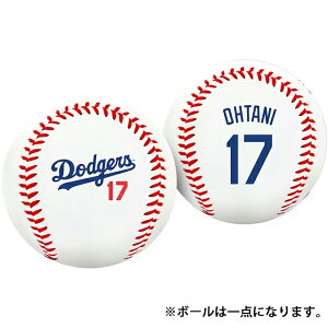 ��J�ĕ����f�� �C�O��� ���S�{�[�� ���T���[���X �h�W���[�X NAME&NUMBER LOGO BASEBALL RAWLINGS ���[�����O�X LOS ANGELES DODGERS 24_5RE_0529