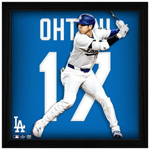��J�ĕ����f�� �C�O��� �z����R���[�W���t���[�� ���T���[���X �h�W���[�X IMPACT JERSEY PHOTO FRAME
