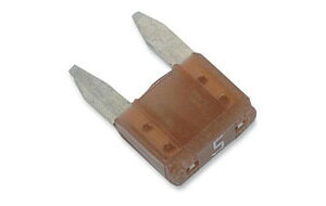 AMP �q���[�Y�@5-AMP MINI Fuse