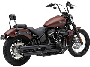 COBRA 3C` NEIGHBOR HATER XbvI}t[ ubN/2018Nȍ~FLFB/SAFLSLAFXBB/SAFXBR/SAFXLR/S/STAFXST